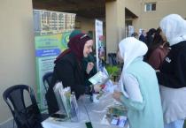 دائرة الاسقطاب